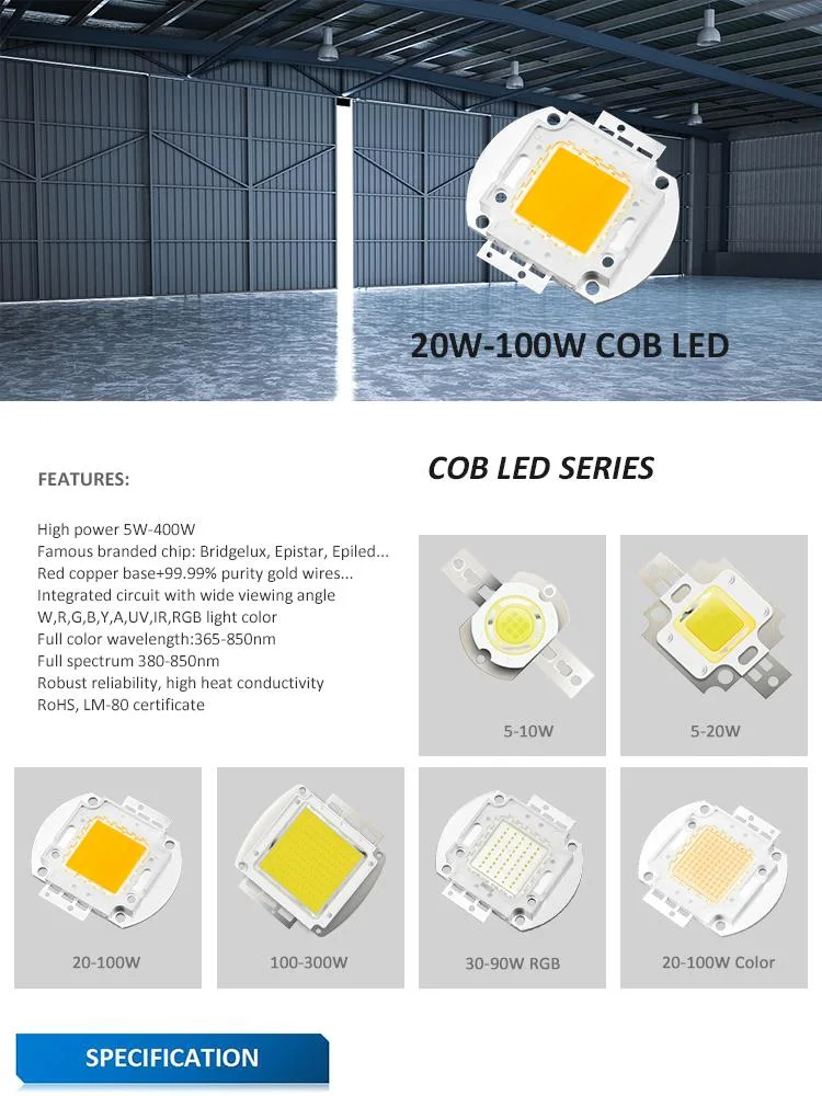 Gmkj Hot Sale Epistar High Light Efficiency Integrated COB High Power 20W 30W 50W LED Chip