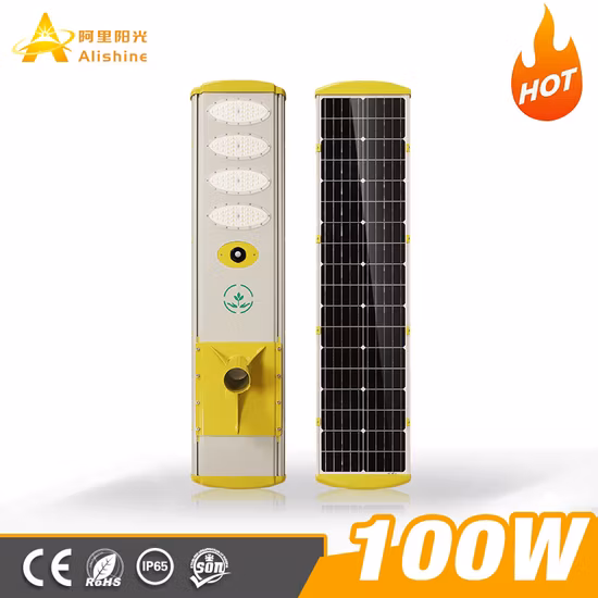 Wholesale Price 100W 150W 200W 250W Outdoor Product ABS Energy Powered Panel Flood Lamp Motion Sensor Road Outdoor Garden Wall LED All in One Solar Street Light