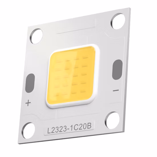 Customize 2323 5W 7W 10W COB LED White 6000K Warm White 3000K Natural White 4000K COB 7W